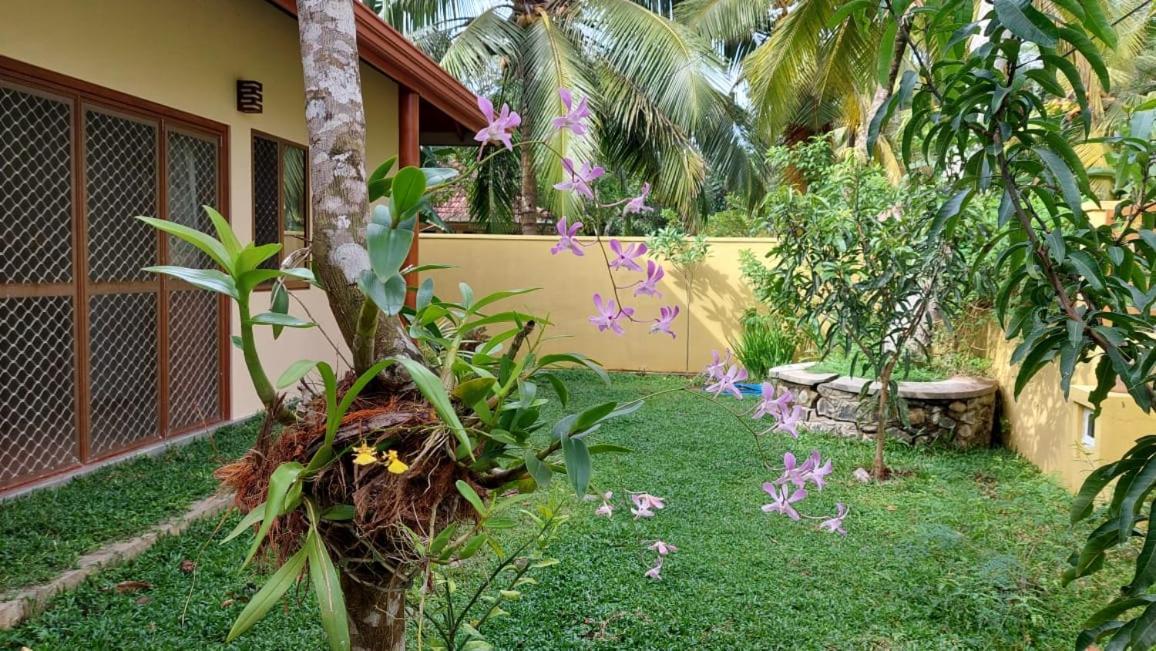 El-Nivasa Villa Weligama Exterior foto